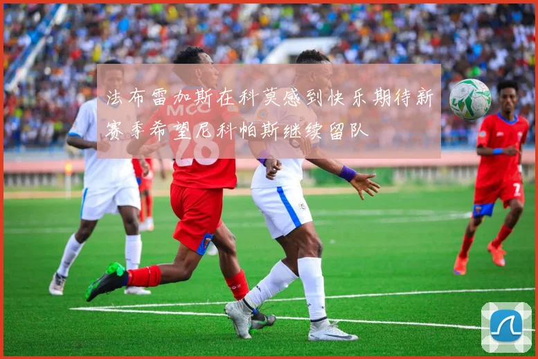 法布雷加斯在科莫感到快乐期待新赛季希望尼科帕斯继续留队